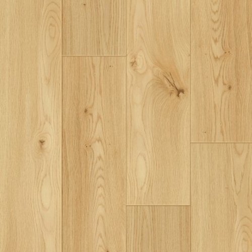 Vitality活力-精品系列174 蜂蜜橡木