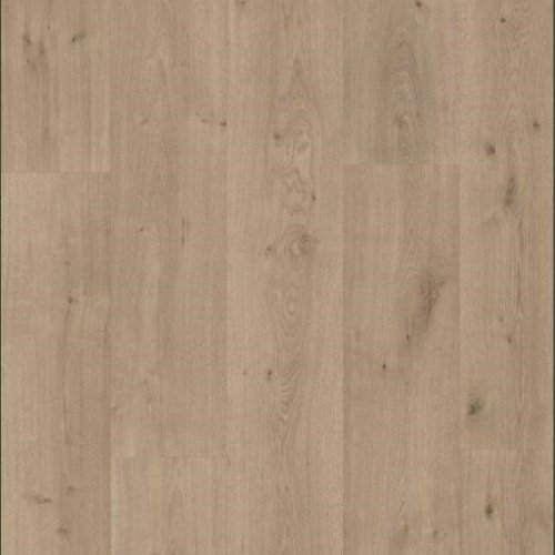 Finfloor紛瑟-XL系列41050545 杉利橡木