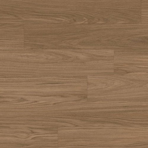 Naxhorn zenkl GL6106 康城橡木