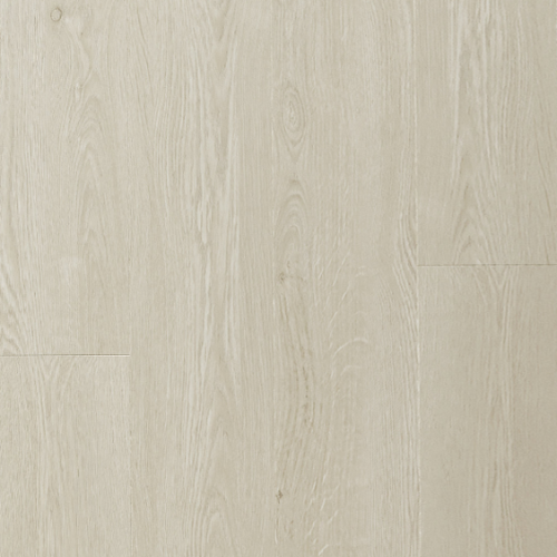 ICHUNG艾寵-901艾薩克