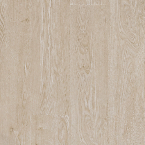 ICHUNG艾寵-902夏沐槐