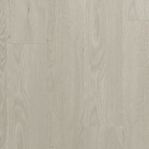 ICHUNG艾寵-903 班貝格