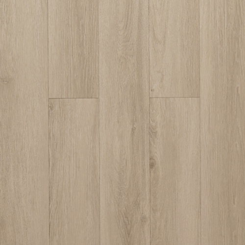 ICHUNG艾寵-904 卡爾旺木