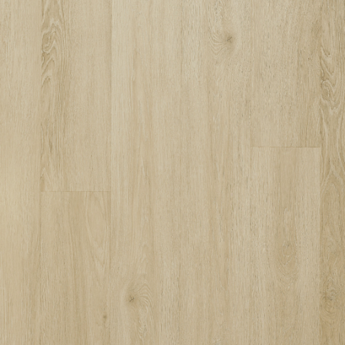 ICHUNG艾寵-905 西斯特橡