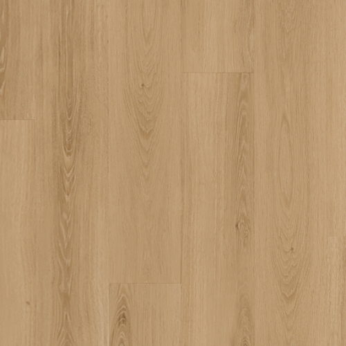 ICHUNG艾寵-908 波巧榆木