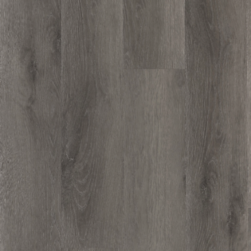 ICHUNG艾寵-909 小貝爾森